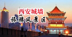 美臀熟女肏屄乱伦中国陕西-西安城墙旅游风景区